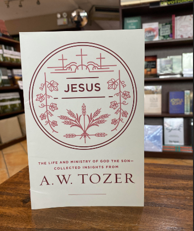 Jesus: The Life and Ministry of God the Son