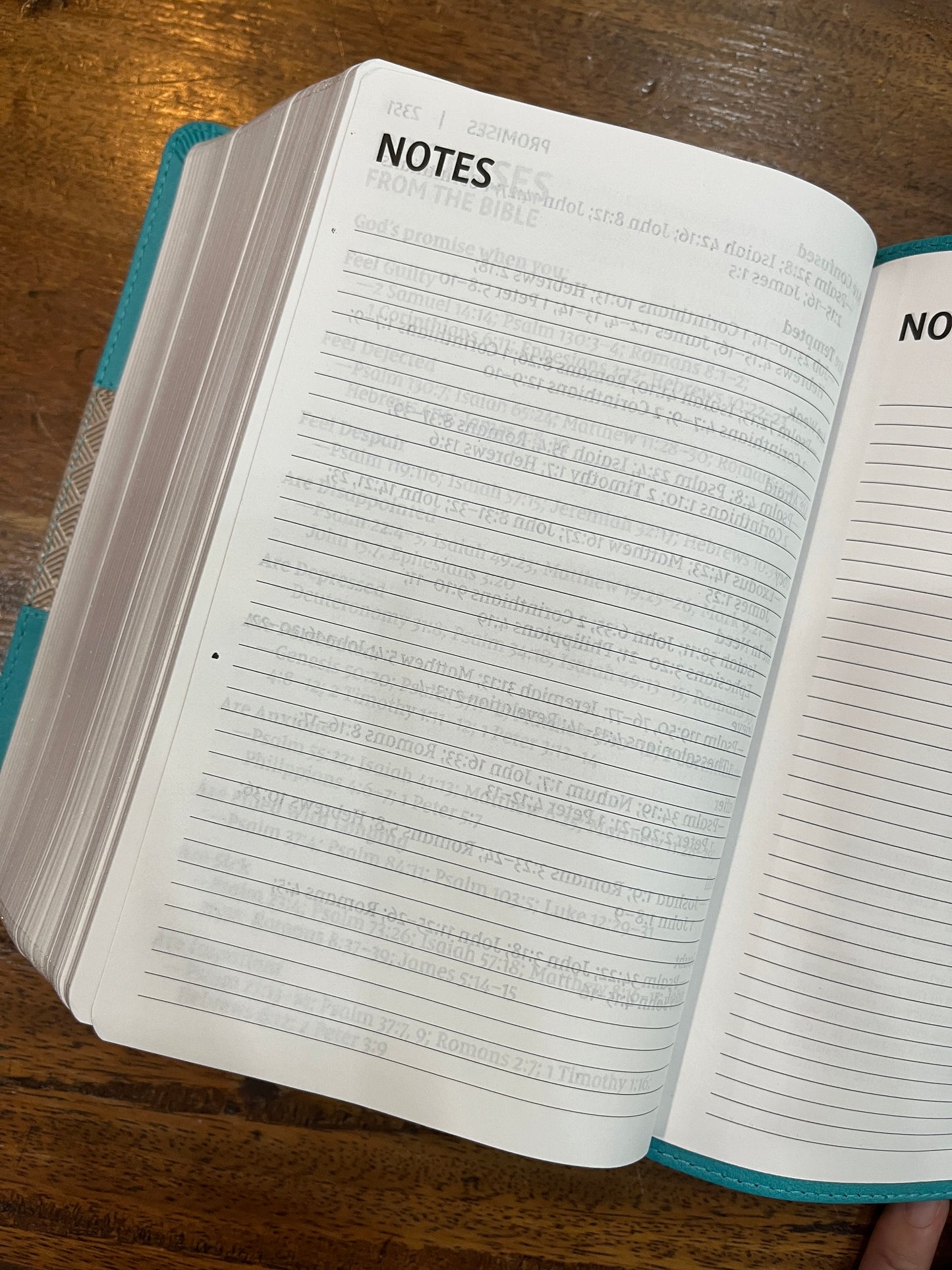 NIV Giant-Print Compact Bible Teal