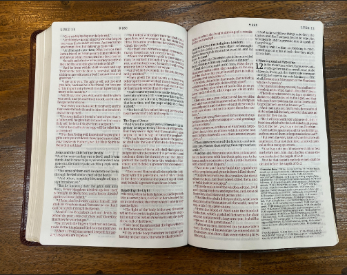 KJV Large-Print Thinline Reference Bible, Filament Enabled Edition--soft leather-look, brown/mahogany