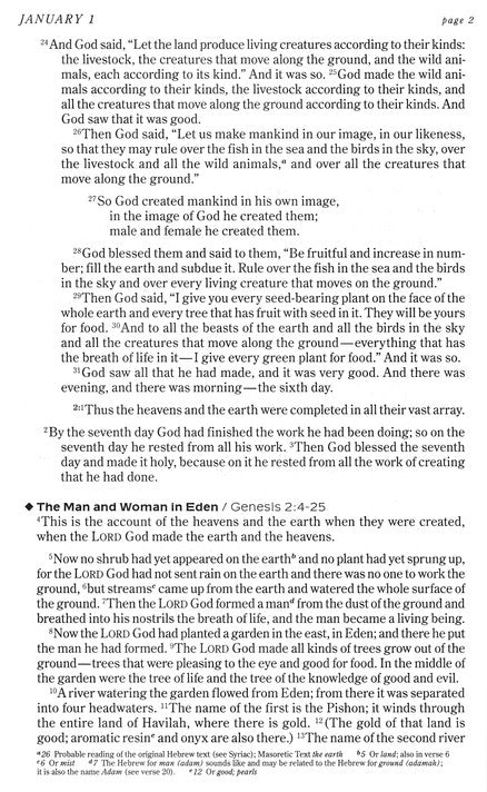 NIV One Year Chronological Bible, Paperback