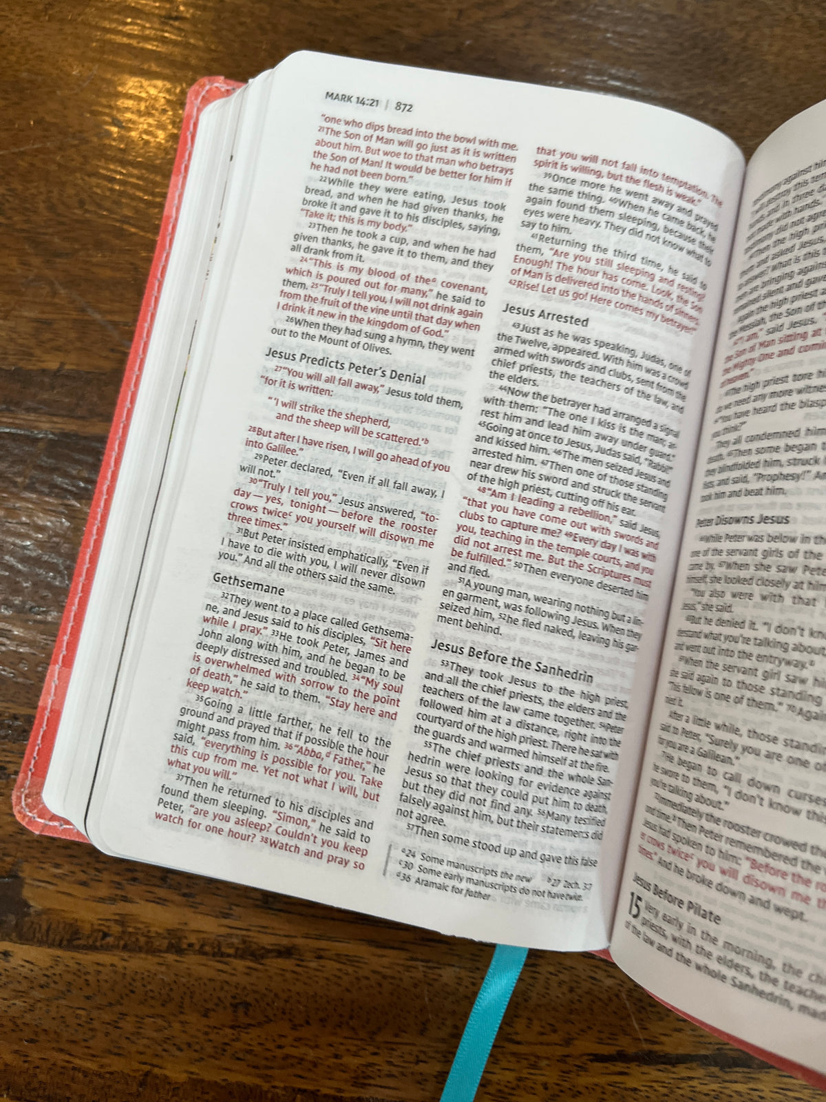 NIV Compact Girls' Ultimate Backpack Bible, Faithgirlz Edition--flexible cover, coral