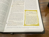 ESV Action Study Bible (Imitation Leather, Gray)