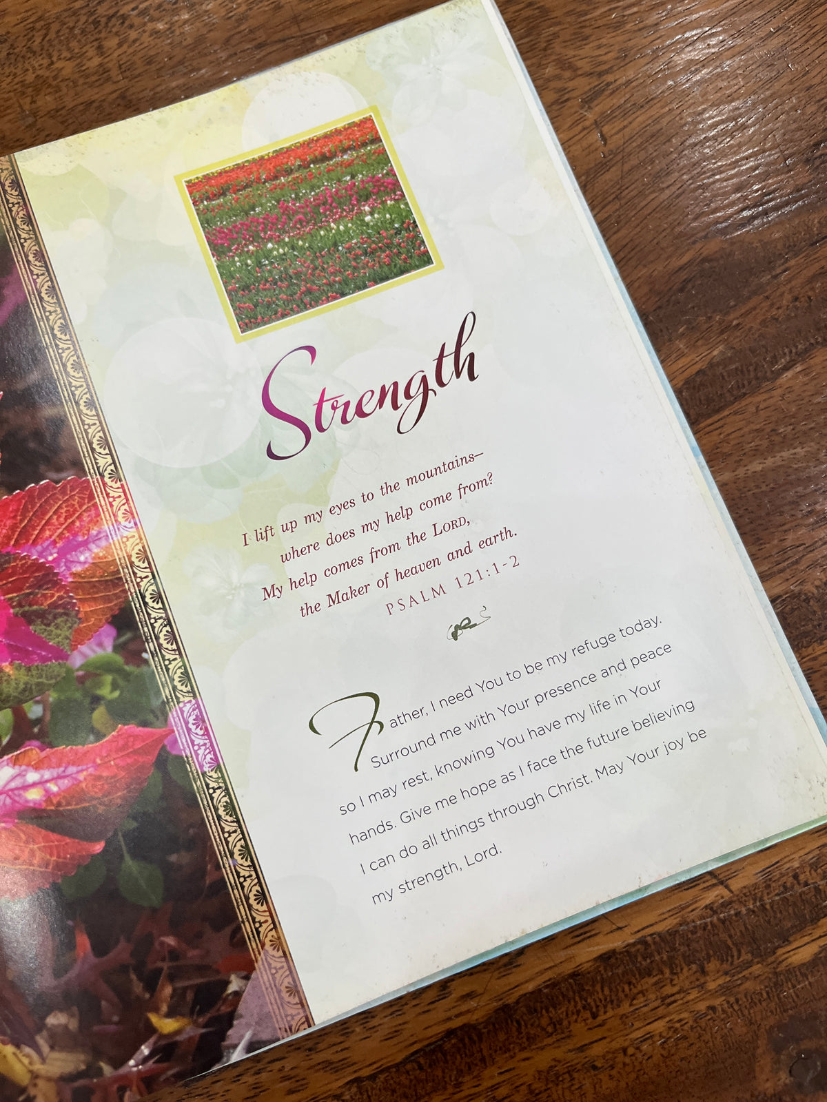 Gentle Prayers for Hope and Healing (Hardcover)
