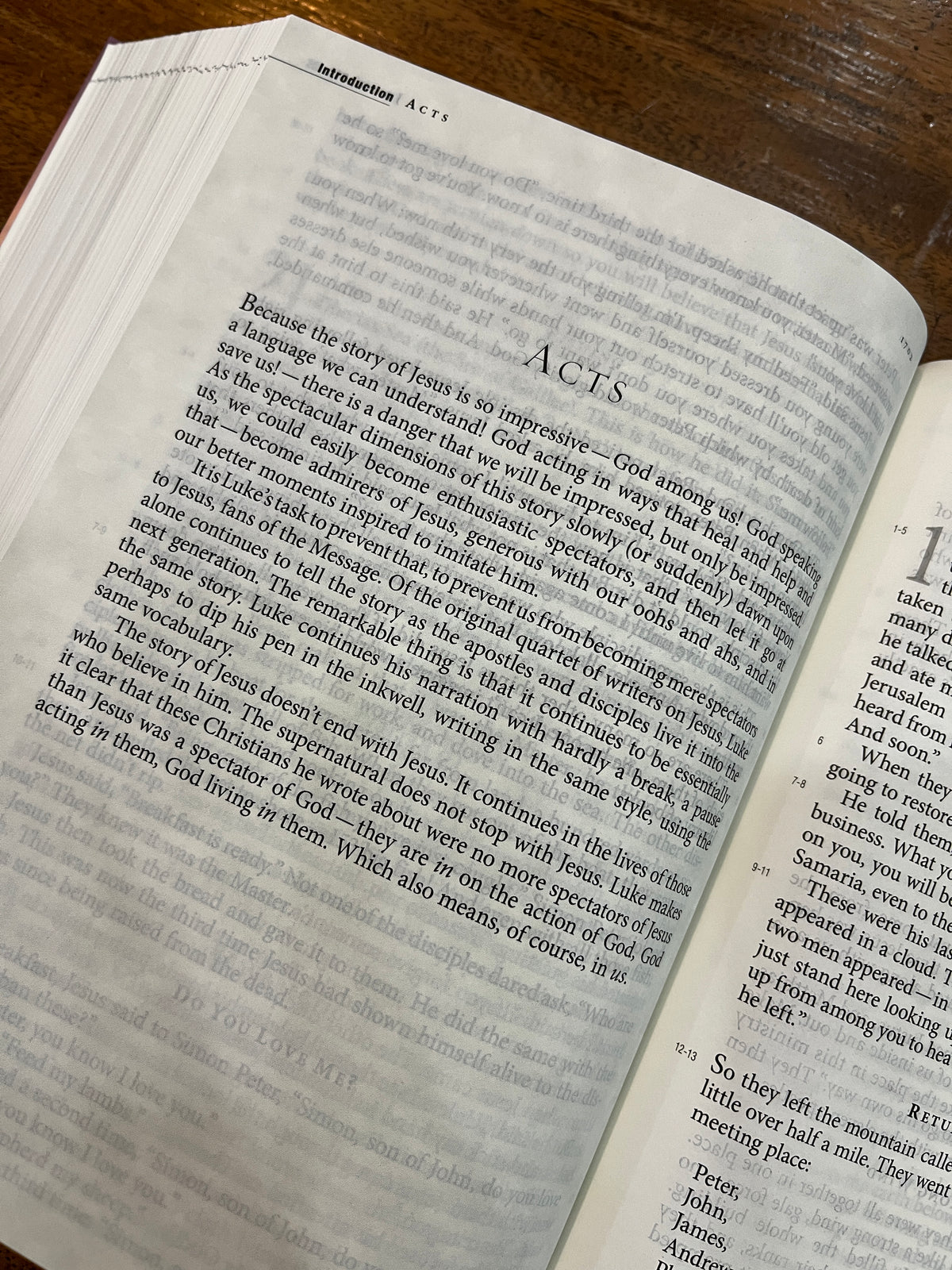 The Message Large Print (Hardcover): The Bible in Contemporary Language