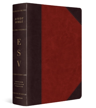 ESV Study Bible, Large Print (TruTone, Brown/Cordovan, Portfolio Design)