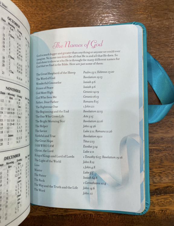 NKJV Simply Charming Bible (Hardcover, Blue Edition)