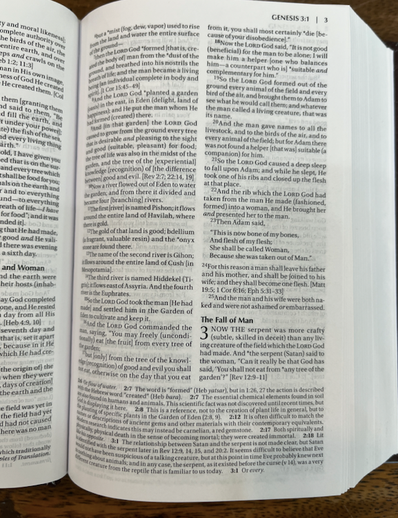 Amplified Holy Bible, Compact, Hardcover: Captures the Full Meaning Behind the Original Greek and Hebrew