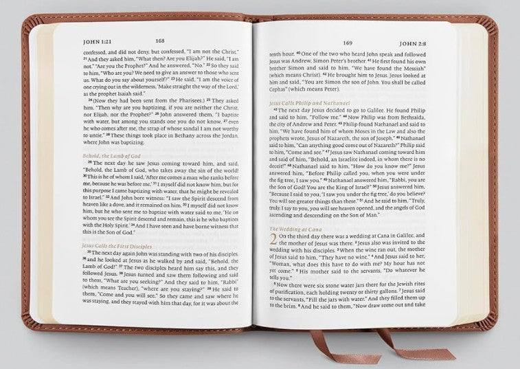 ESV New Testament with Psalms and Proverbs (TruTone, Chestnut)