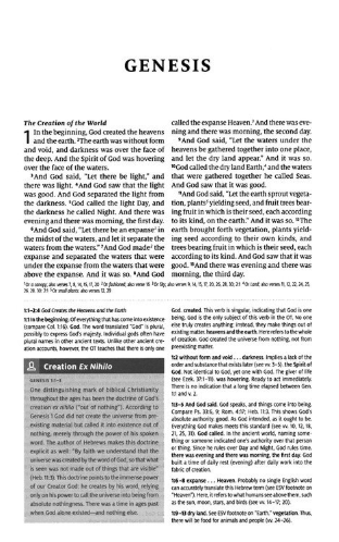 ESV Teen Study Bible--soft leather-look, slate & umber