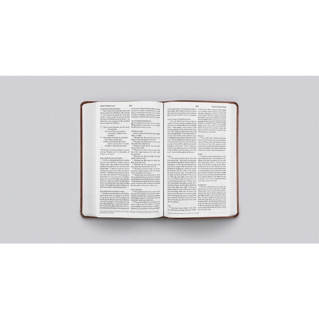 ESV Large Print Value Thinline Bible (TruTone, Chestnut), Leather, imitation, Brown