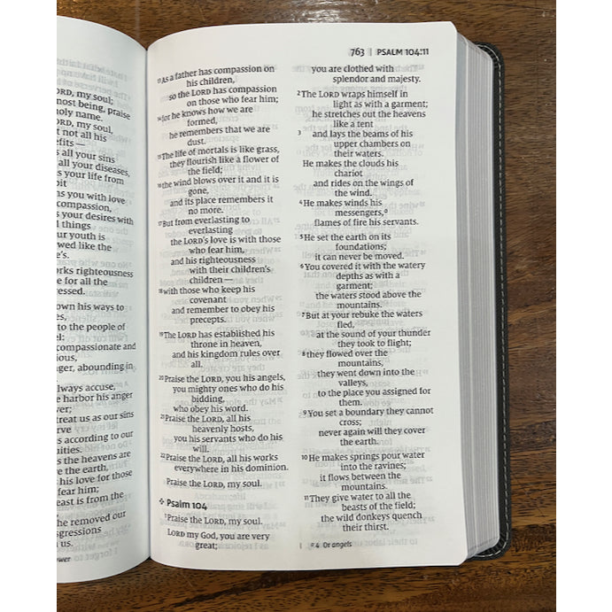 NIV, Personal Size Bible, Large Print, Leathersoft, Black, Red Letter, Comfort Print
