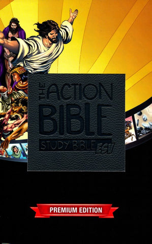 ESV Action Study Bible (Imitation Leather, Gray)