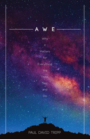 Awe - Why It Matters for Everything We Think, Say, and Do