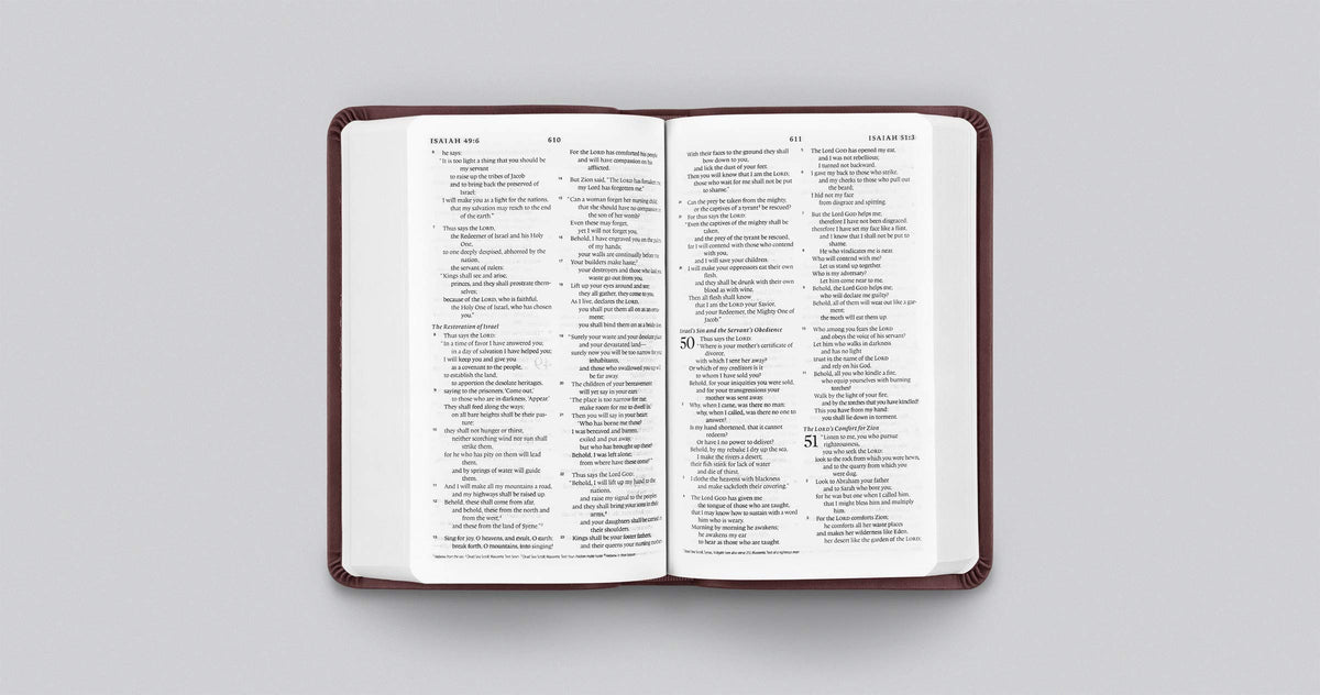 ESV Value Compact Bible (TruTone, Mahogany, Border Design)