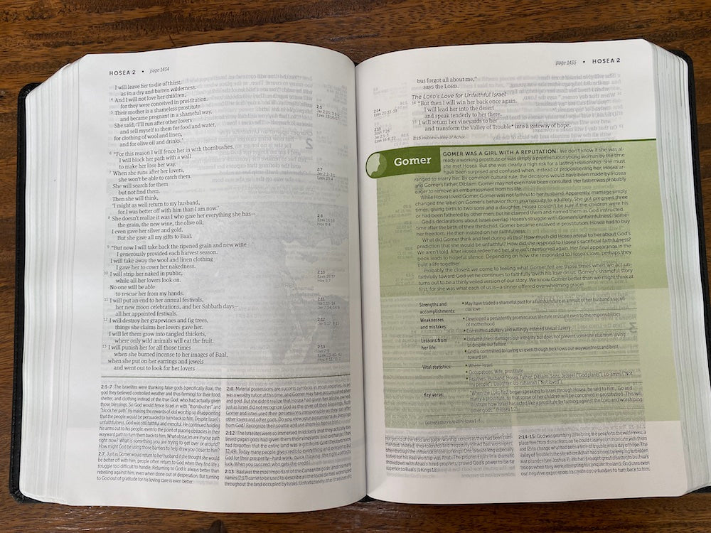 NLT Life Application Study Bible, Third Edition Black/Onyx