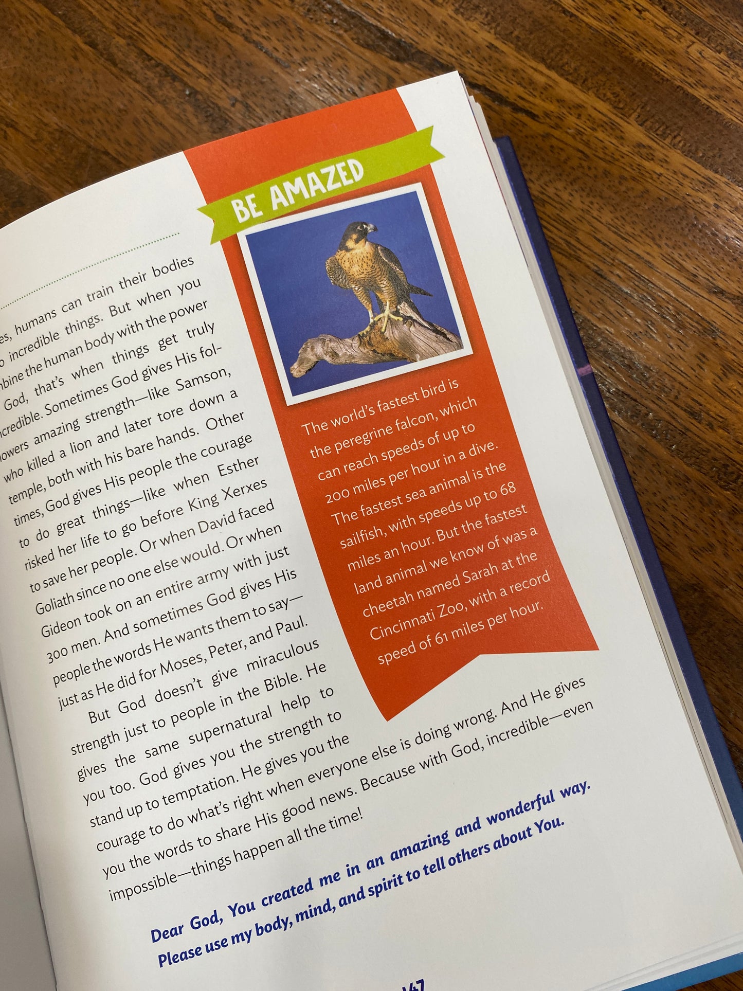 Indescribable: 100 Devotions for Kids About God and Science