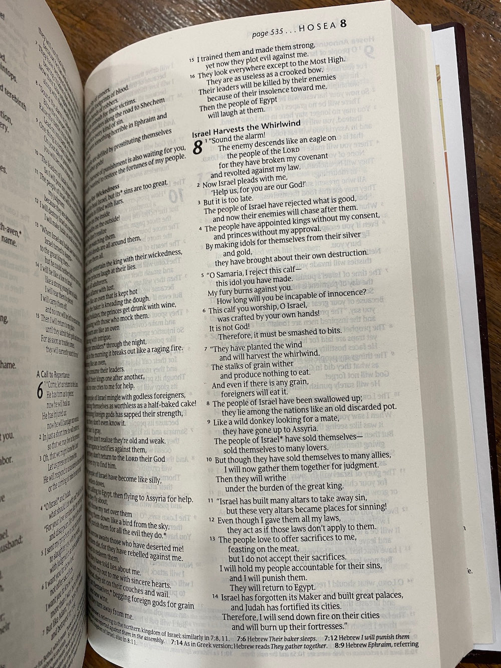 NLT Gift & Award Bible (Imitation Leather, Burgundy)