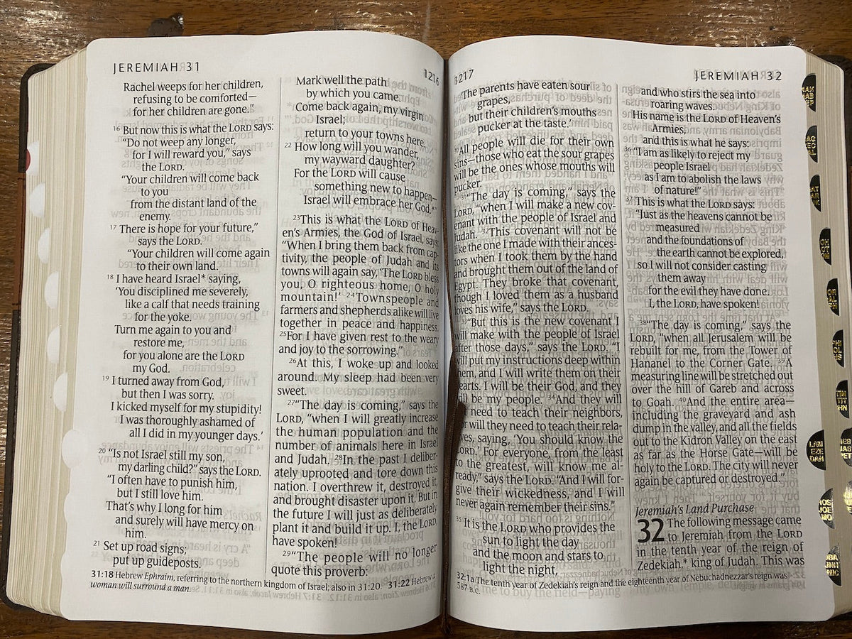 NLT Giant Print Bible (Imitation Leather, Brown/Tan)