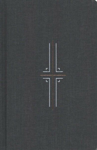 NLT Filament Bible (Hardcover Cloth, Gray)