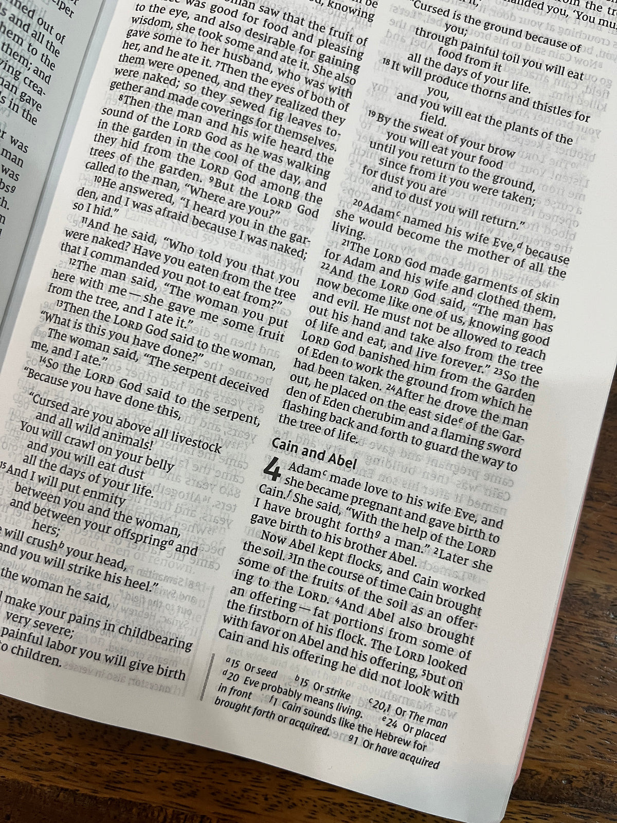 NIV Thinline Bible for Teens, Comfort Print--soft leather-look, pink (red letter)