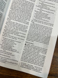 NIV Thinline Bible for Teens, Comfort Print--soft leather-look, pink (red letter)