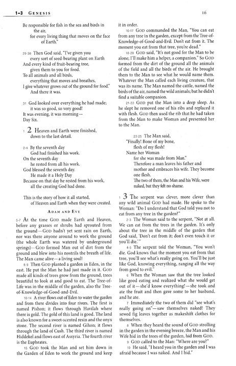 The Message Ministry Edition (Softcover)