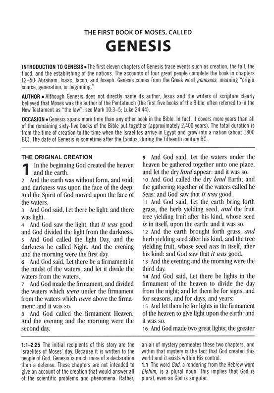 KJV Large-Print Study Bible--imitation leather brown/olive