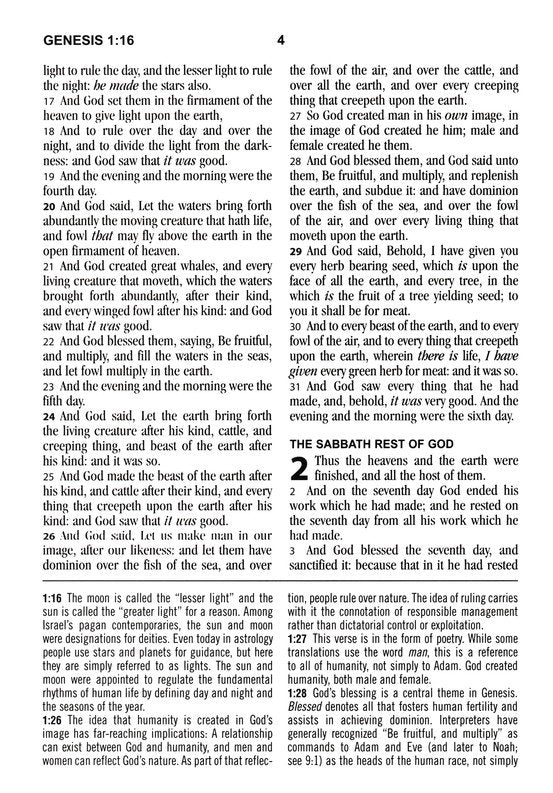 KJV Large-Print Study Bible--imitation leather brown/olive