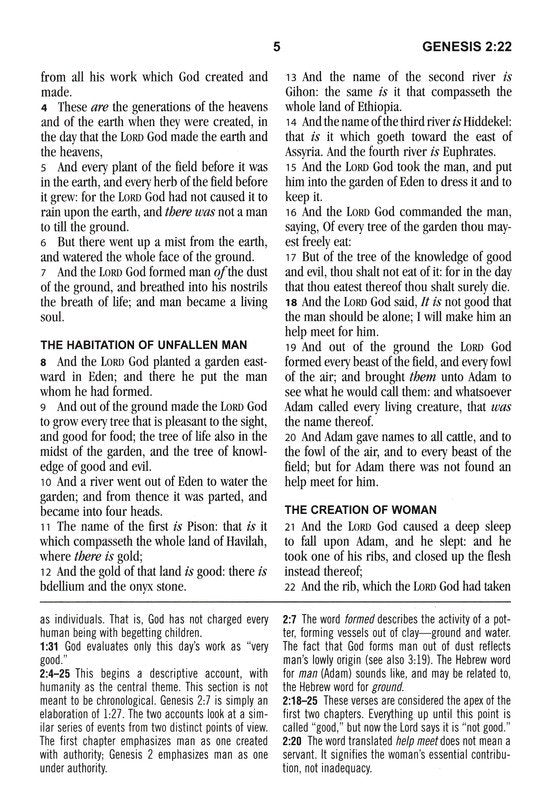 KJV Large-Print Study Bible--imitation leather brown/olive