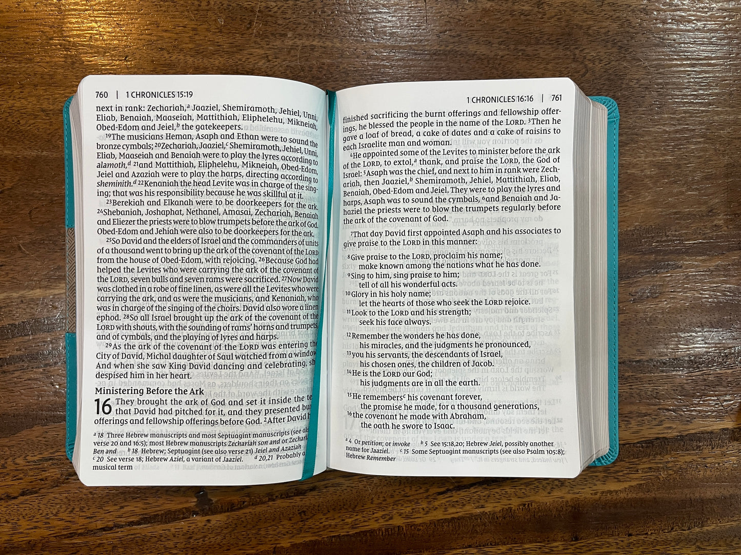 NIV Giant-Print Compact Bible Teal