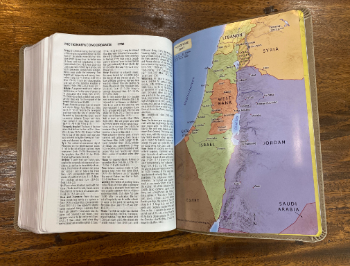 KJV Large-Print Study Bible--imitation leather brown/olive
