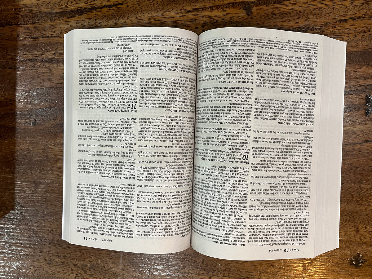 NLT Gift & Award Economy Bible