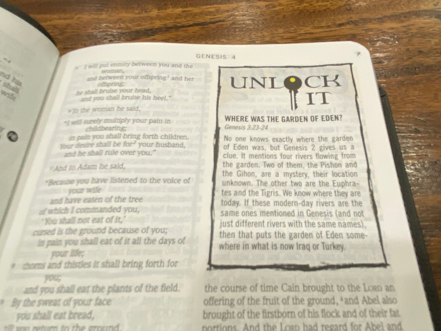 ESV Action Study Bible (Imitation Leather, Gray)