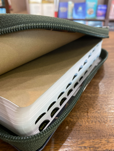 NLT Compact Bible Giant Print (Magnolia, with zipper)