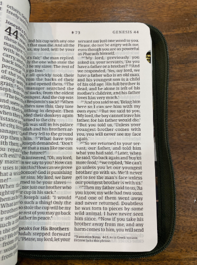 NLT Compact Bible Giant Print (Magnolia, with zipper)