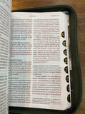 NLT Compact Bible Giant Print (Magnolia, with zipper)