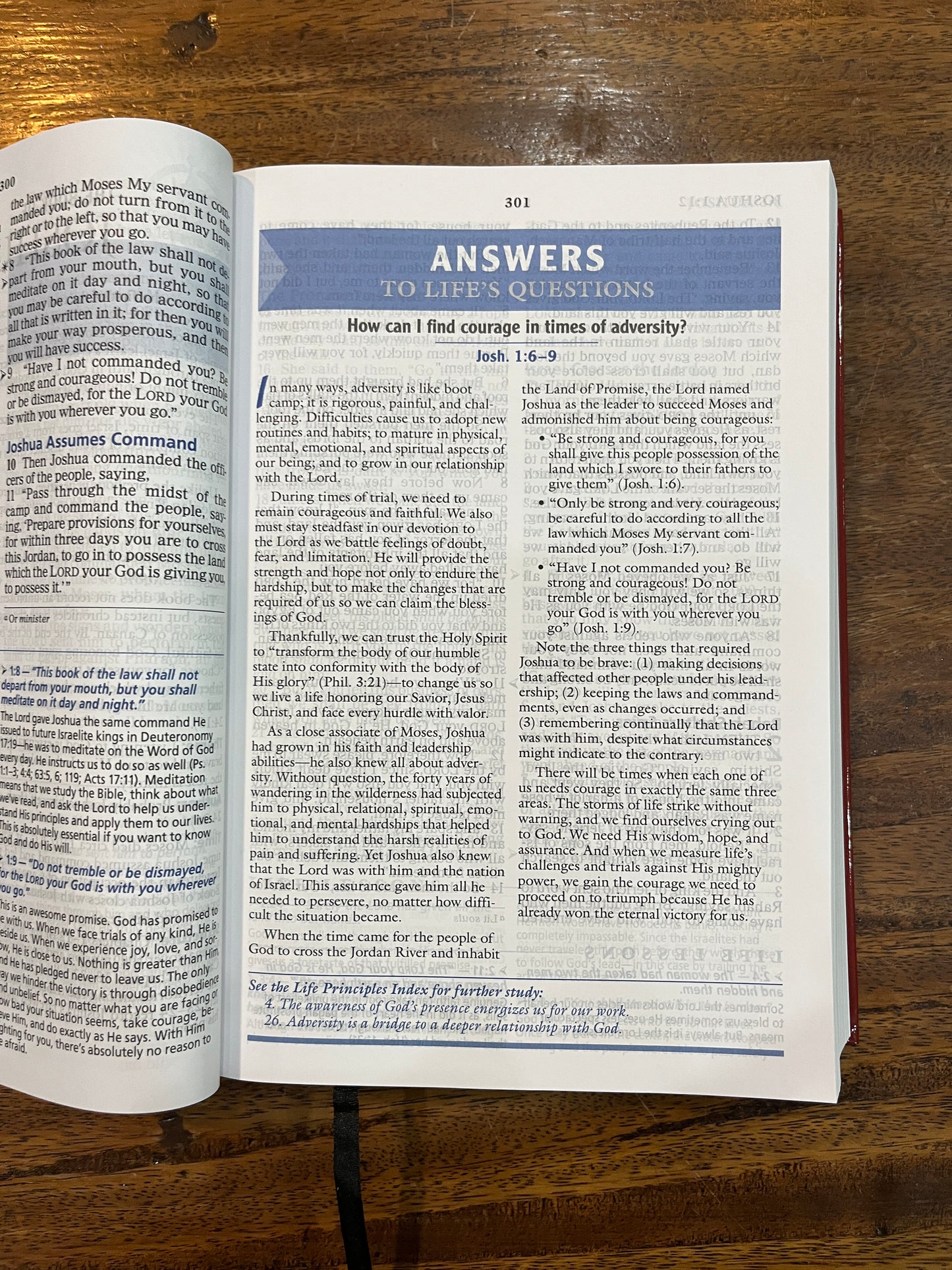 NASB The Charles F. Stanley Life Principles Bible Large Print Edition (Hardcover)