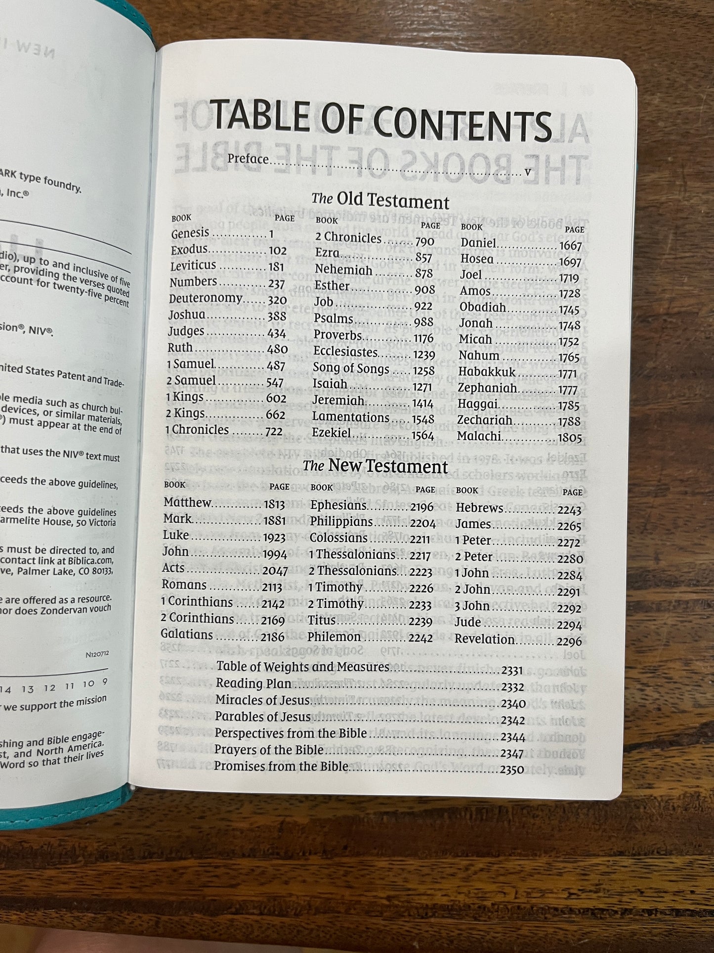 NIV Giant-Print Compact Bible Teal
