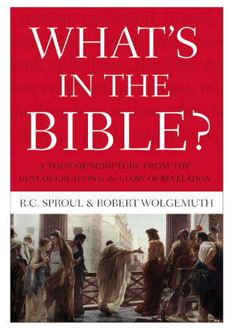 What's in the Bible: A Tour of Scripture from the Dust of Creation to the Glory of Revelation