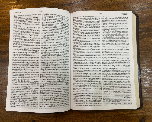 KJV Large-Print Thinline Reference Bible, Filament Enabled Edition--soft leather-look, brown/mahogany