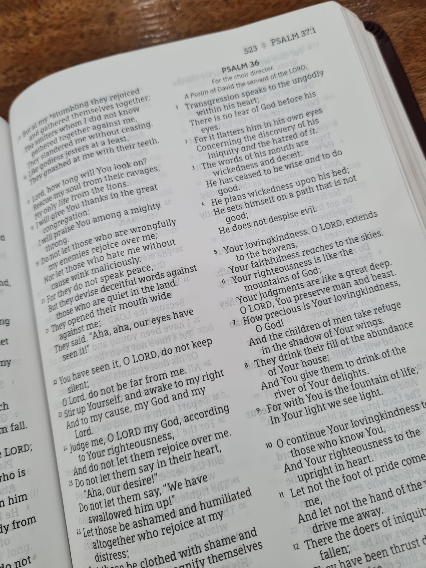 NASB Large-Print Thinline Bible, Red Letter Edition--bonded leather, burgundy