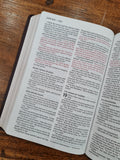NASB Large-Print Thinline Bible, Red Letter Edition--bonded leather, burgundy