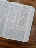 NIV The Grace and Truth Study Bible Gray (OM)