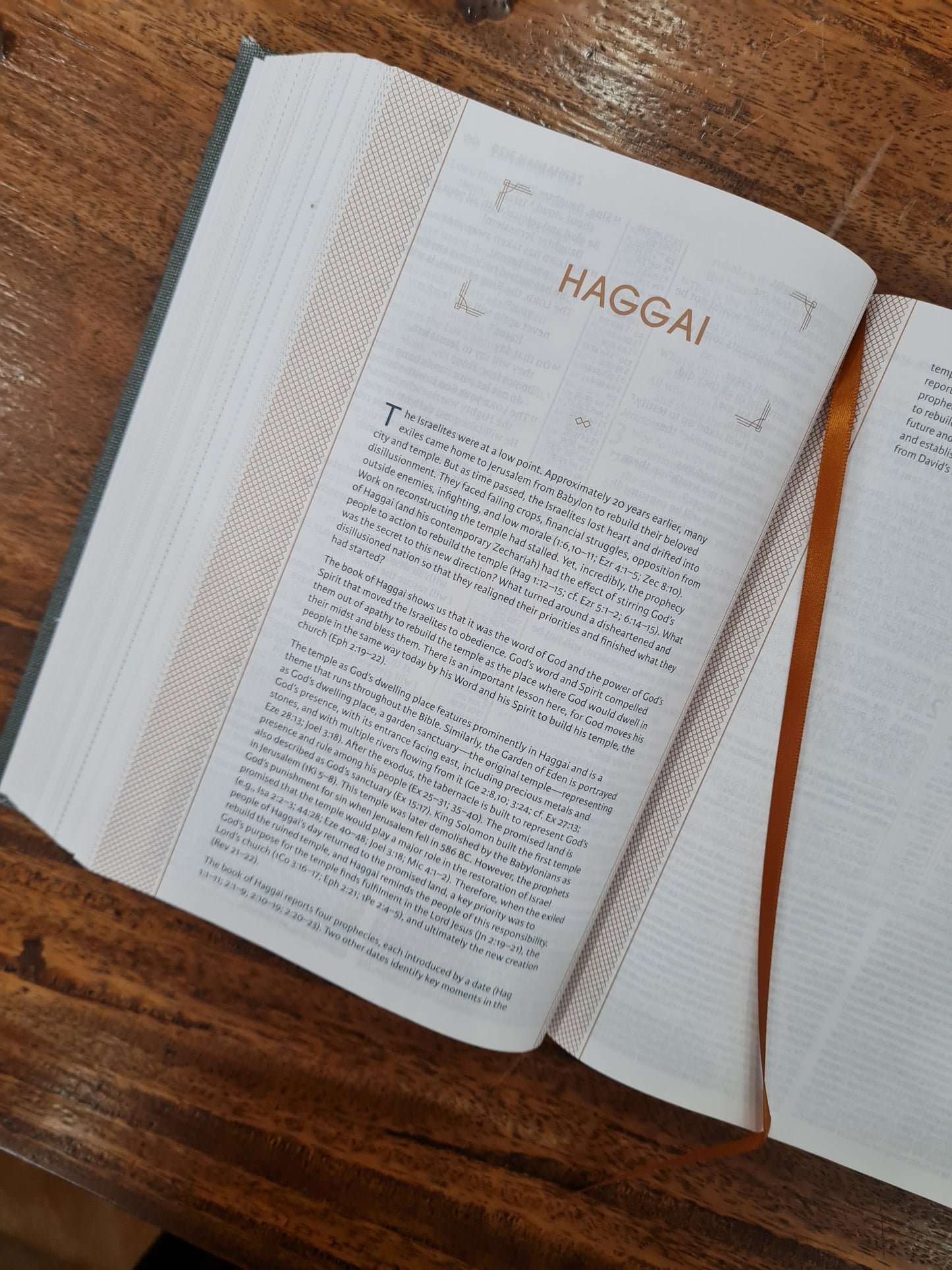 NIV The Grace and Truth Study Bible Gray (OM)
