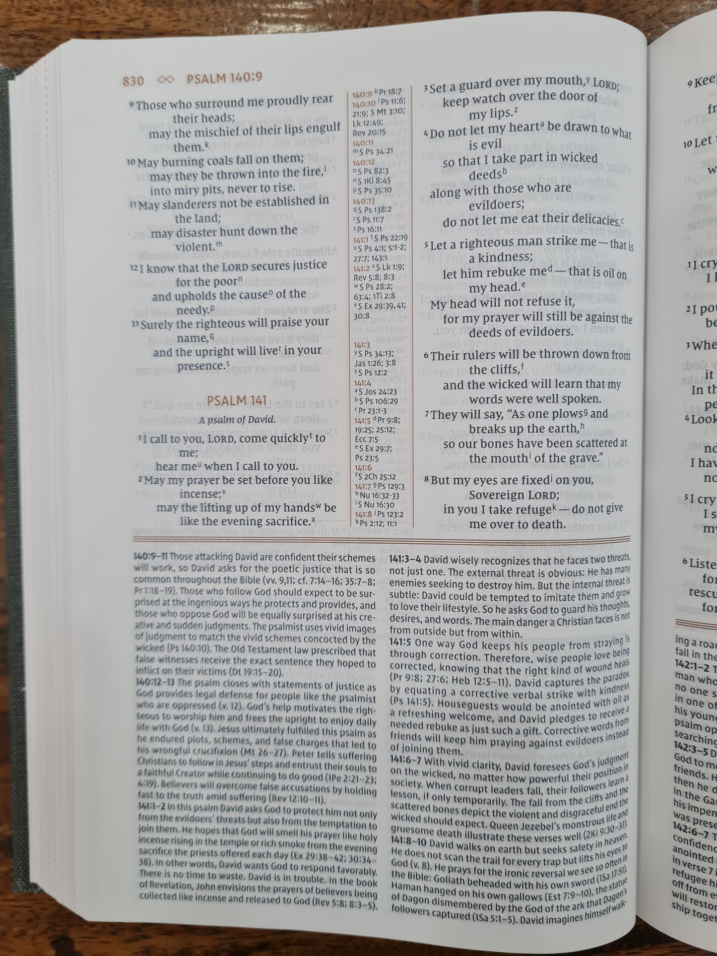 NIV The Grace and Truth Study Bible Gray (OM)