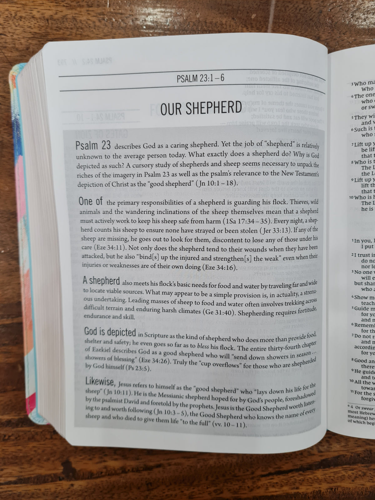 NIV The Jesus Bible Artist Edition (OM)