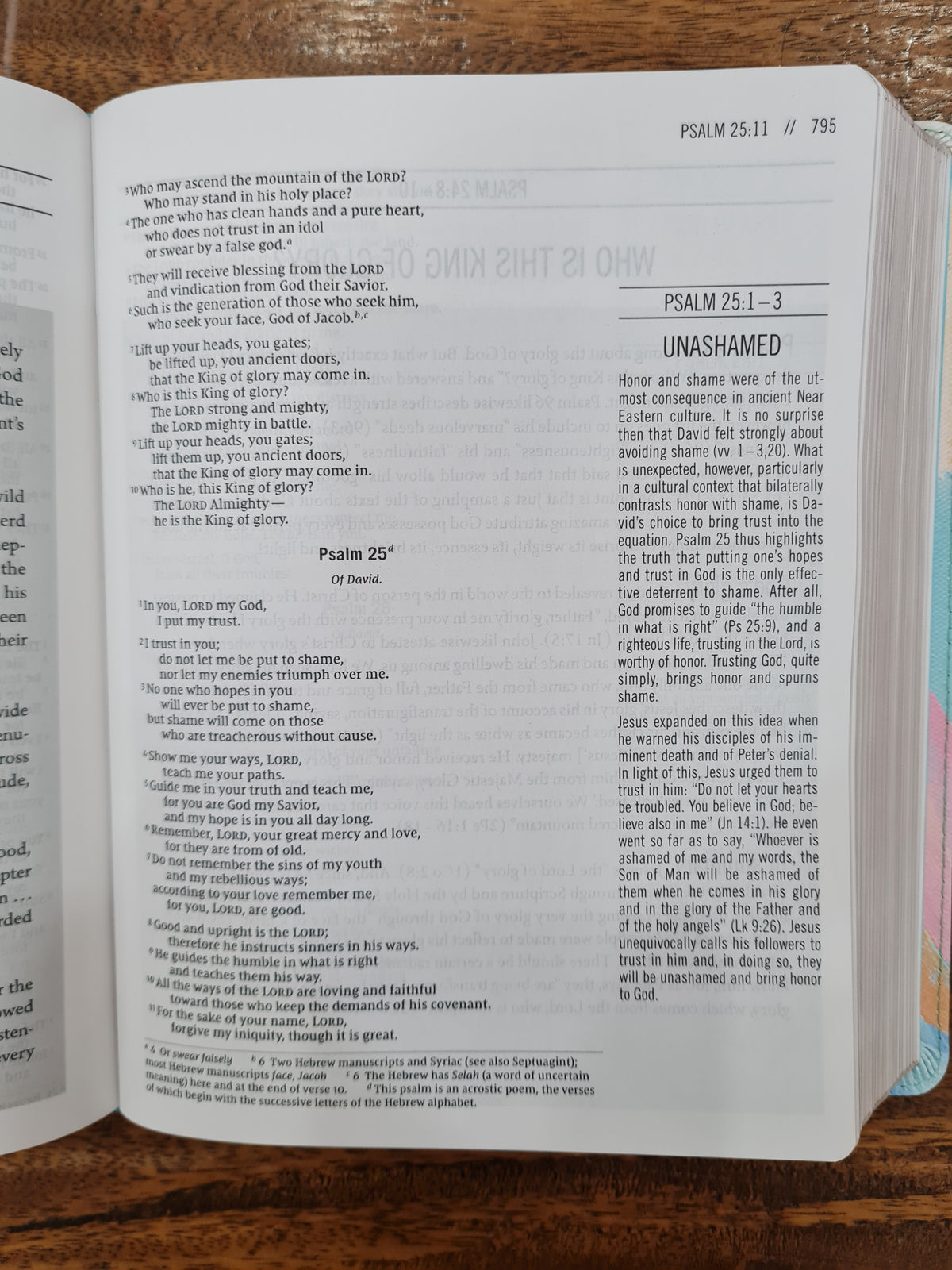NIV The Jesus Bible Artist Edition (OM)