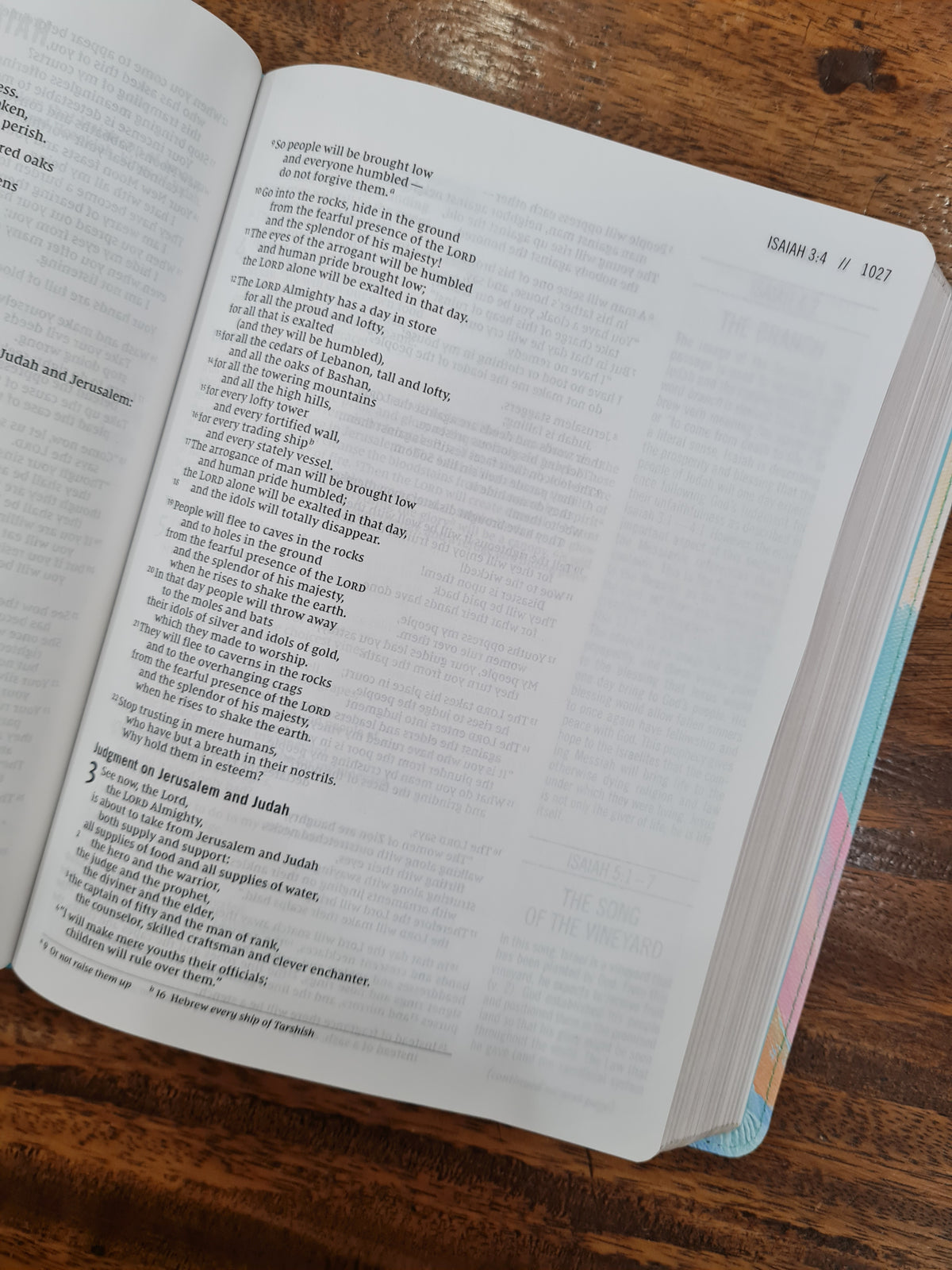 NIV The Jesus Bible Artist Edition (OM)