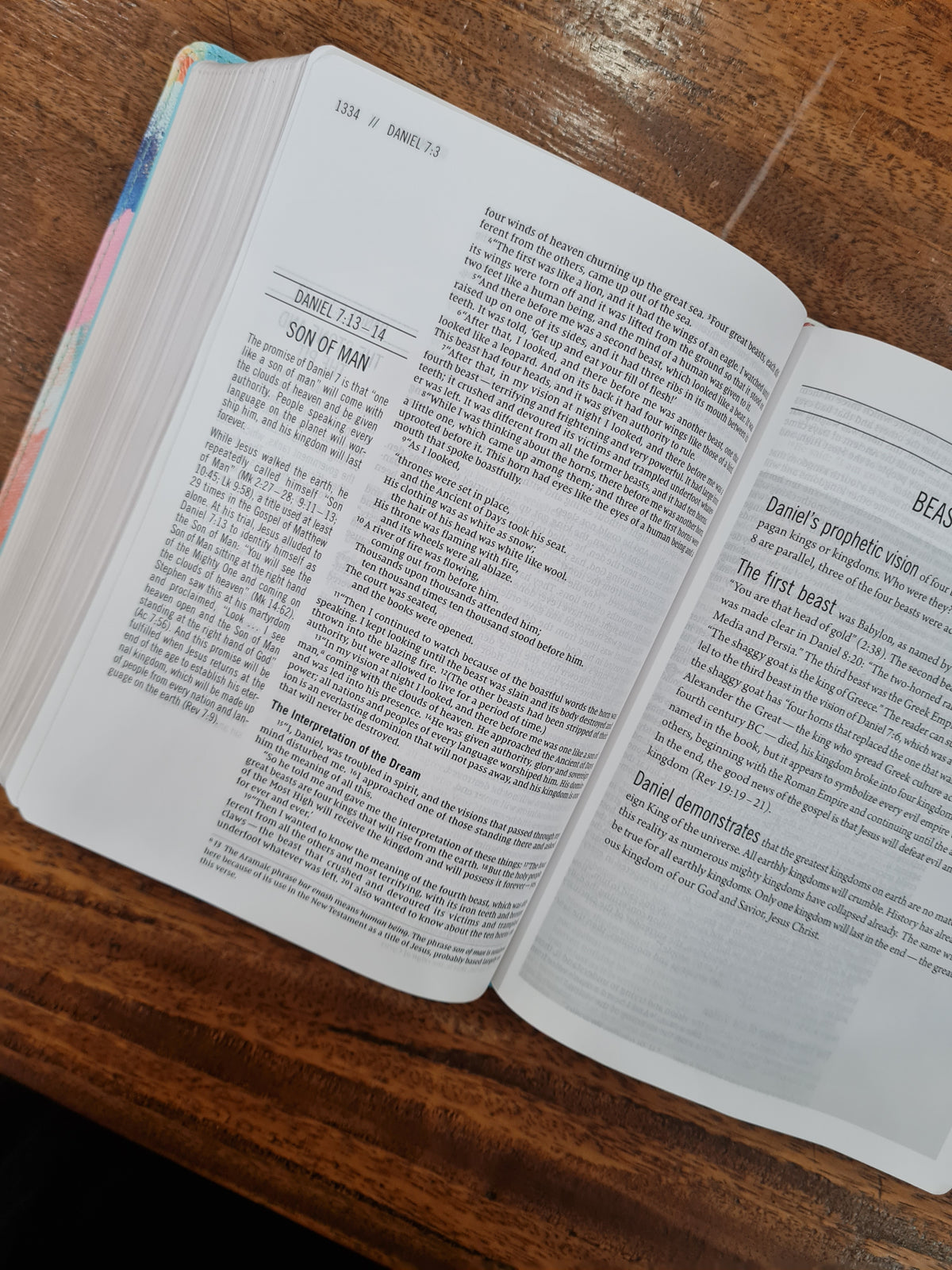 NIV The Jesus Bible Artist Edition (OM)
