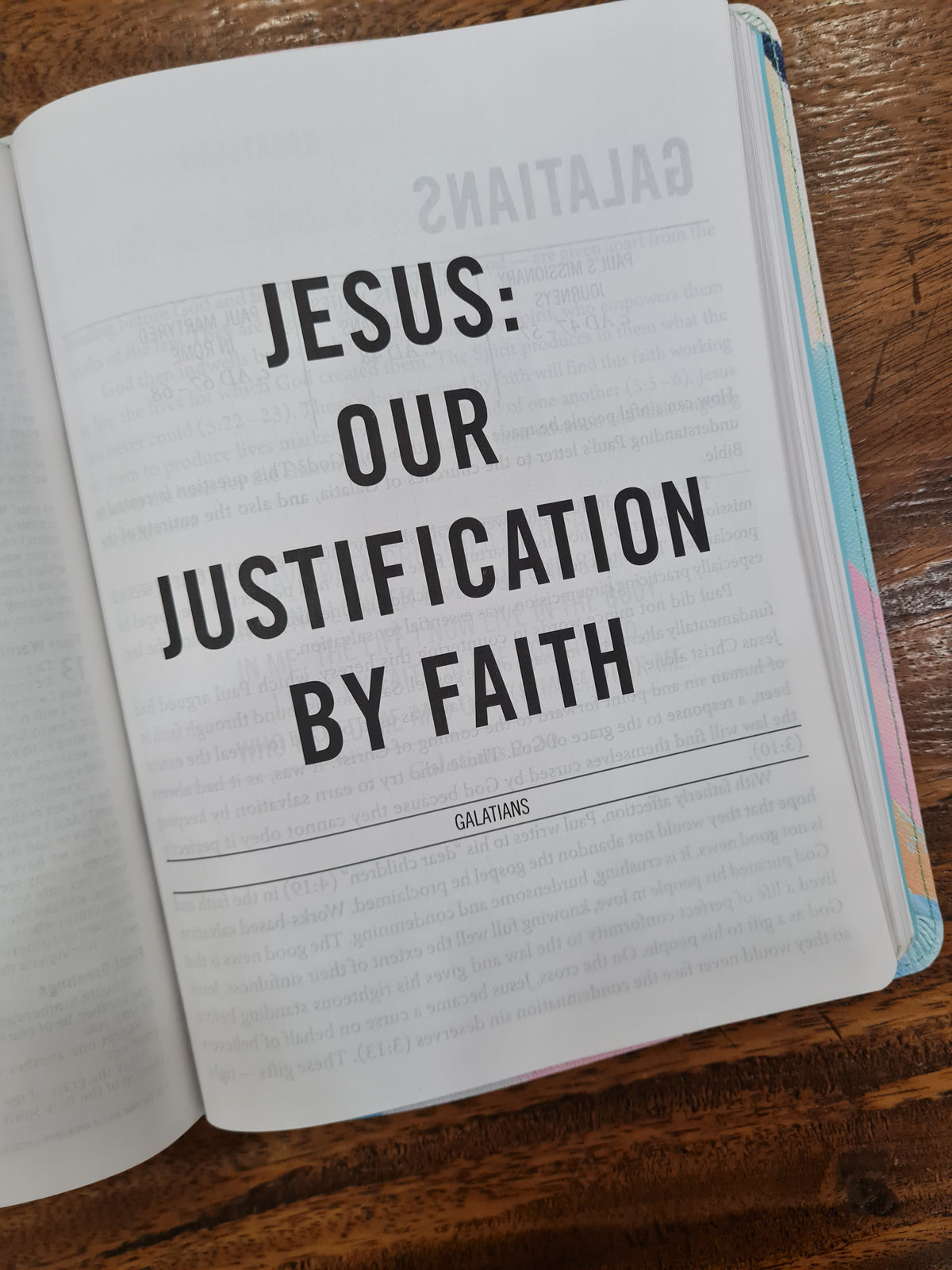 NIV The Jesus Bible Artist Edition (OM)